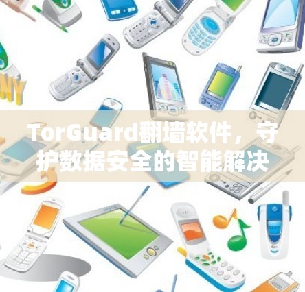TorGuard翻墙软件，守护数据安全的智能解决方案