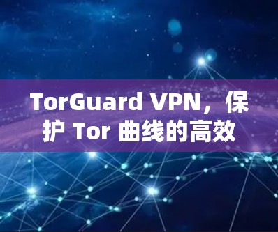 TorGuard VPN，保护 Tor 曲线的高效VPN解决方案