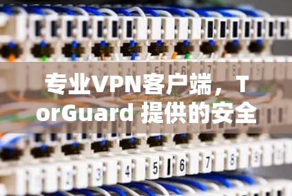 专业VPN客户端,TorGuard 提供的安全与便捷 专业VPN客户端,TorGuard 提供的安全与便捷