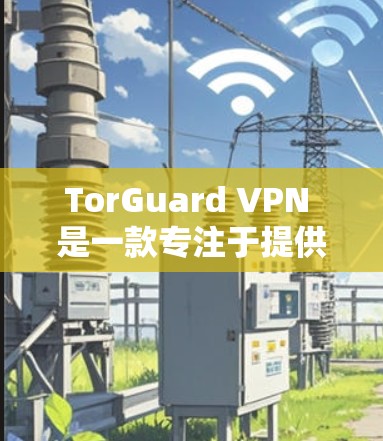 TorGuard VPN 是一款专注于提供VPN服务的工具，旨在帮助用户远程访问互联网。以下是关于 TorGuard VPN 套餐服务的详细介绍