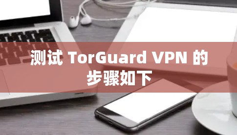 测试 TorGuard VPN 的步骤如下