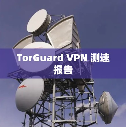 TorGuard VPN 测速报告 TorGuard VPN 测速报告