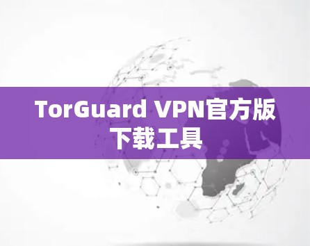 TorGuard VPN官方版下载工具