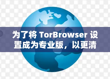 为了将 TorBrowser 设置成为专业版，以更清晰地显示网络连接并提高访问效率，可以按照以下步骤进行操作