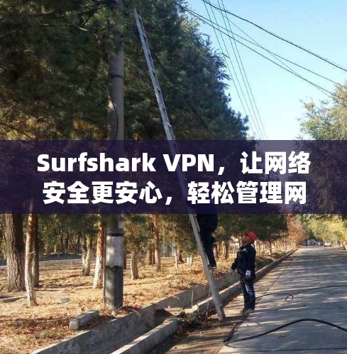 Surfshark VPN，让网络安全更安心，轻松管理网络