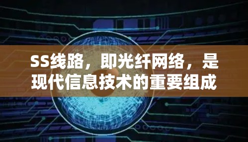 SS线路,即光纤网络,是现代信息技术的重要组成部分,尤其在高速数据传输和复杂网络中起着关键作用。以下是对SS线路性能分析的详细总结 SS线路,即光纤网络,是现代信息技术的重要组成部分,尤其在高速数据传输和复杂网络中起着关键作用。以下是对SS线路性能分析的详细总结