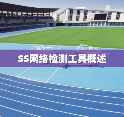 SS网络检测工具概述 SS网络检测工具概述