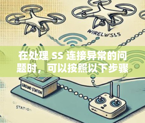 在处理 SS 连接异常的问题时，可以按照以下步骤进行