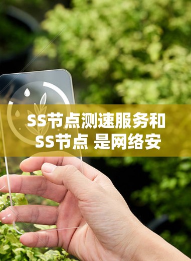 SS节点测速服务和 SS节点 是网络安全领域中的关键概念，它们之间的关系和作用可以从以下几个方面进行理解