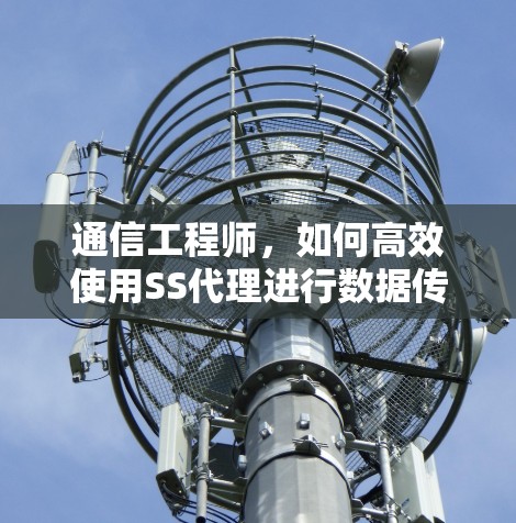 通信工程师,如何高效使用SS代理进行数据传输与流量控制 通信工程师,如何高效使用SS代理进行数据传输与流量控制