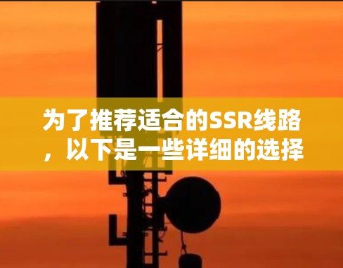 为了推荐适合的SSR线路，以下是一些详细的选择建议，涵盖手机、电脑、服务器等多个领域