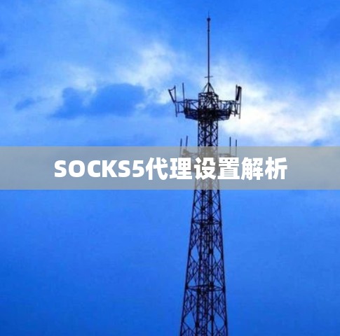 SOCKS5代理设置解析 SOCKS5代理设置解析
