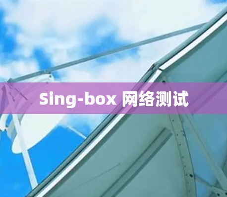 Sing-box 网络测试