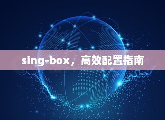 sing-box，高效配置指南
