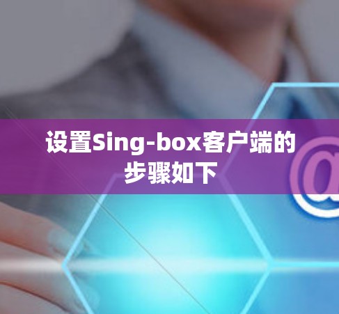 设置Sing-box客户端的步骤如下
