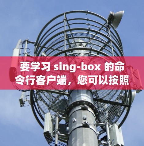 要学习 sing-box 的命令行客户端，您可以按照以下步骤进行