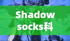 Shadowsocks科学上网是基于加密技术的VPN服务，提供了一个安全和高效的VPN体验。如果你对如何设置Shadowsocks的VPN配置感兴趣，以下是详细的步骤和信息