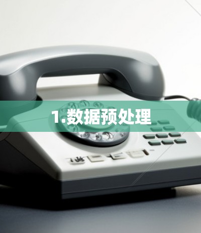 1.数据预处理 1.数据预处理