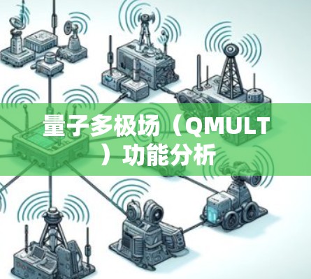 量子多极场（QMULT）功能分析