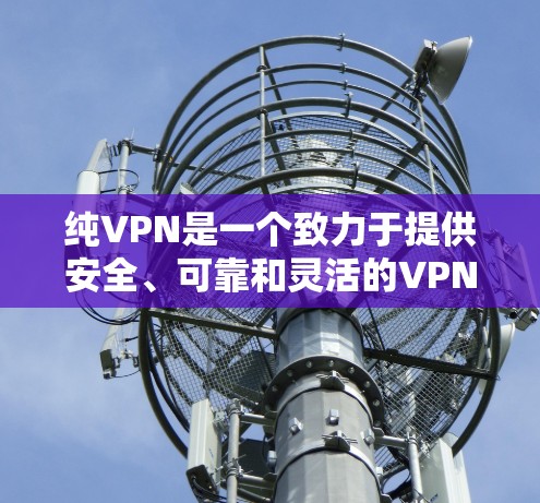 纯VPN是一个致力于提供安全、可靠和灵活的VPN解决方案的软件。以下是使用纯VPN的步骤说明