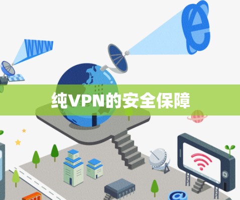 纯VPN的安全保障