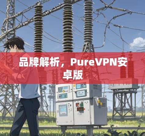 品牌解析,PureVPN安卓版 品牌解析,PureVPN安卓版