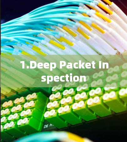 1.Deep Packet Inspection 1.Deep Packet Inspection