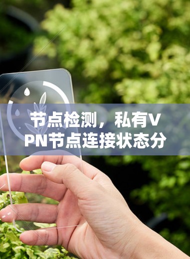 节点检测,私有VPN节点连接状态分析 节点检测,私有VPN节点连接状态分析