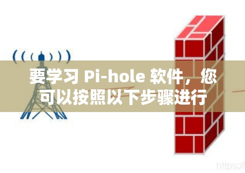 要学习 Pi-hole 软件，您可以按照以下步骤进行