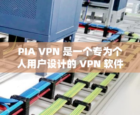 PIA VPN 是一个专为个人用户设计的 VPN 软件，结合了个人身份验证（PIA）和点对点通信（P2P）技术，旨在保护用户的隐私和数据安全。以下是关于 PIA VPN 的详细介绍