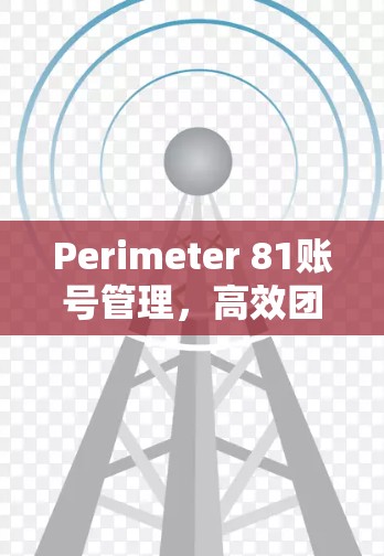 Perimeter 81账号管理,高效团队协作的解决方案 Perimeter 81账号管理,高效团队协作的解决方案