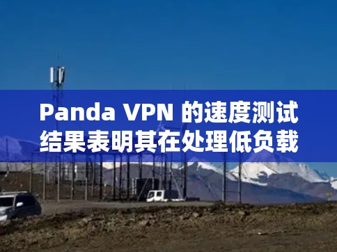 Panda VPN 的速度测试结果表明其在处理低负载请求时表现优异，但在高负载时响应时间变长。以下是详细的分析