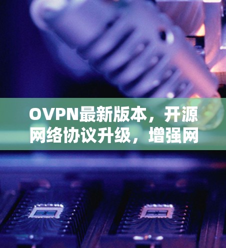 OVPN最新版本，开源网络协议升级，增强网络安全性，提升网络性能