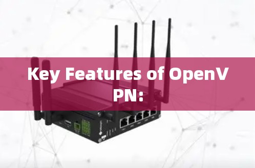 Key Features of OpenVPN: