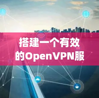 搭建一个有效的OpenVPN服务器需要系统性的学习和实践，可以从以下几个步骤进行