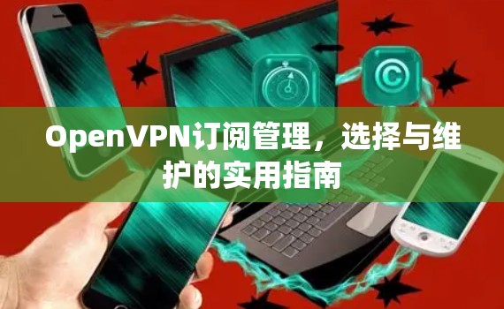 OpenVPN订阅管理，选择与维护的实用指南
