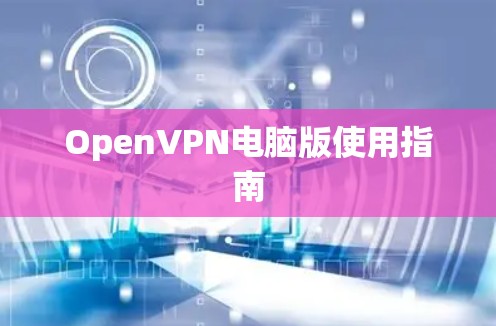 OpenVPN电脑版使用指南