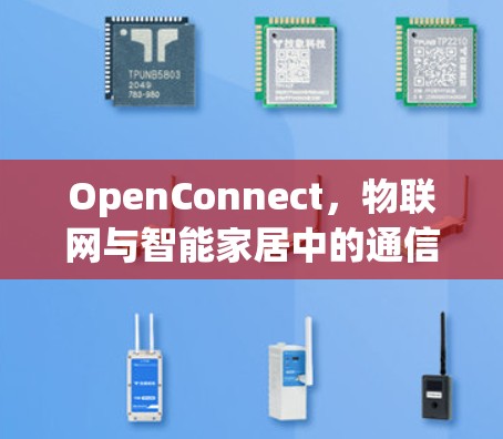 OpenConnect,物联网与智能家居中的通信之选 OpenConnect,物联网与智能家居中的通信之选